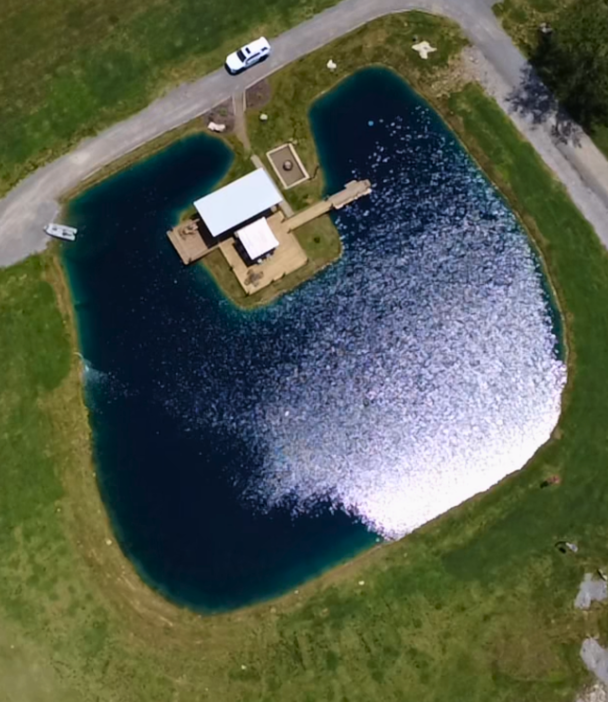 Finished pond, Middle Tennessee