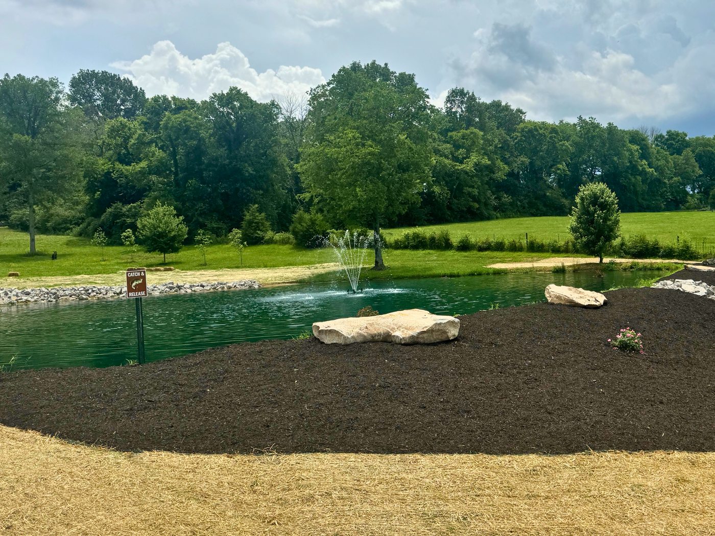 Finished pond with landscaping and boulders
